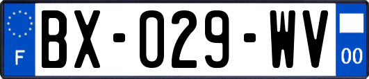 BX-029-WV