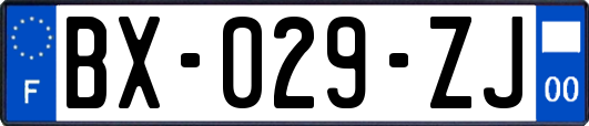 BX-029-ZJ