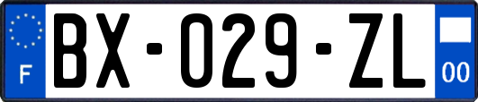 BX-029-ZL