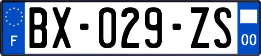 BX-029-ZS