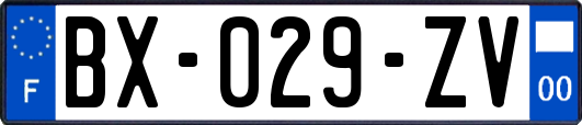 BX-029-ZV