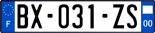 BX-031-ZS