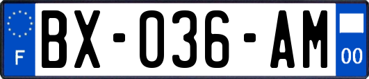 BX-036-AM