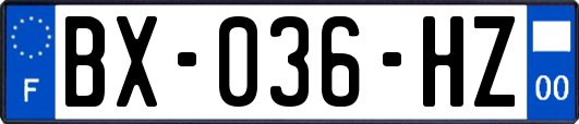 BX-036-HZ