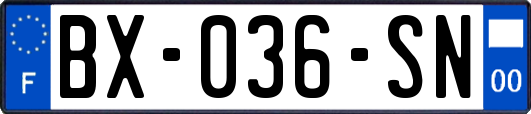 BX-036-SN