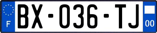 BX-036-TJ