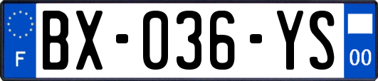 BX-036-YS