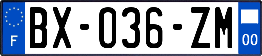 BX-036-ZM