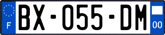 BX-055-DM