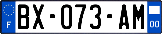 BX-073-AM