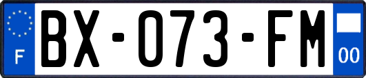 BX-073-FM