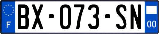 BX-073-SN