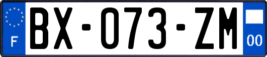 BX-073-ZM