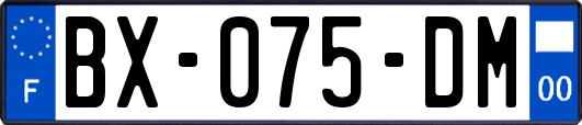 BX-075-DM