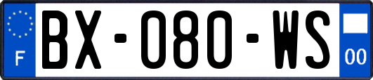 BX-080-WS