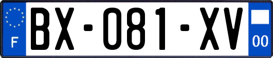 BX-081-XV