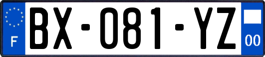 BX-081-YZ