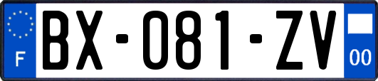 BX-081-ZV