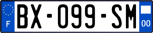 BX-099-SM