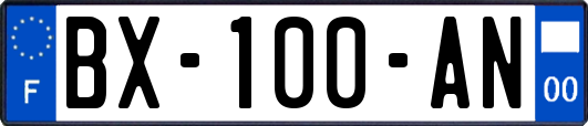 BX-100-AN