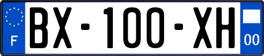 BX-100-XH