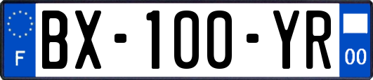 BX-100-YR