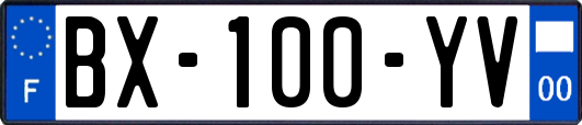 BX-100-YV