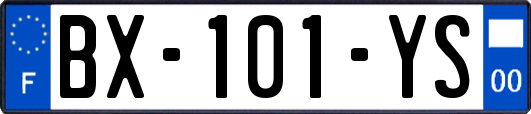 BX-101-YS