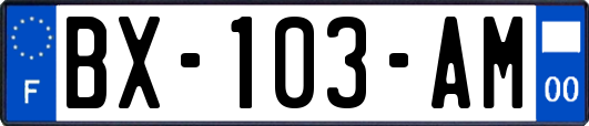 BX-103-AM