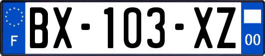 BX-103-XZ