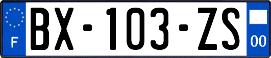 BX-103-ZS