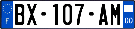 BX-107-AM