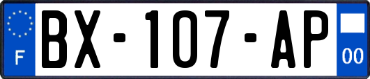 BX-107-AP