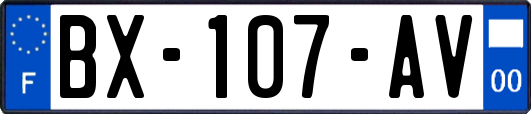 BX-107-AV