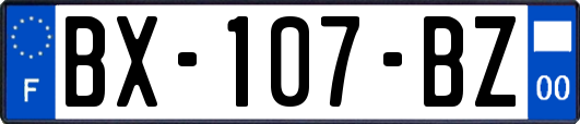 BX-107-BZ