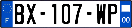 BX-107-WP