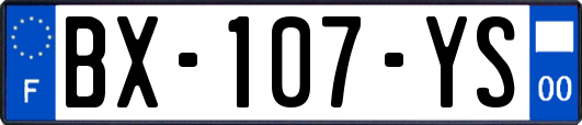 BX-107-YS