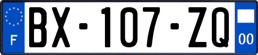 BX-107-ZQ