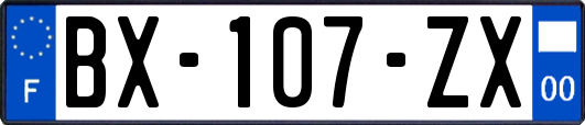 BX-107-ZX
