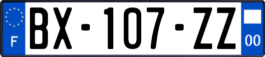 BX-107-ZZ