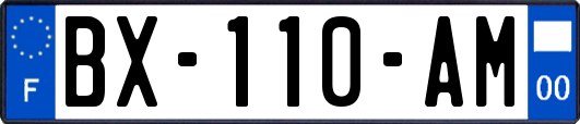 BX-110-AM