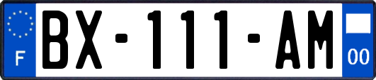 BX-111-AM