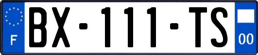 BX-111-TS