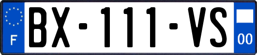 BX-111-VS