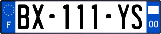 BX-111-YS