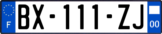 BX-111-ZJ