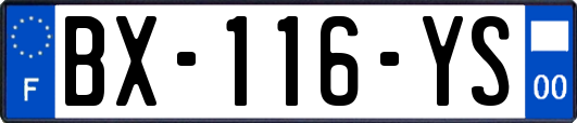 BX-116-YS