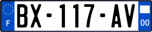 BX-117-AV