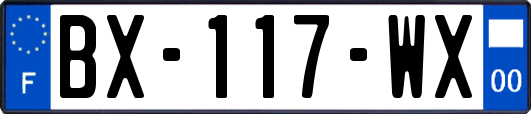 BX-117-WX