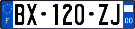 BX-120-ZJ